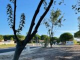 Terrain à bâtir à Aigues-Mortes (30220) 2180879-3243annonce120231210kd9ZN.jpeg Maisons France Confort
