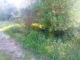 Terrain à bâtir à Biganos (33380) 2180836-11244annonce220250605aqh1p.jpeg Maisons France Confort