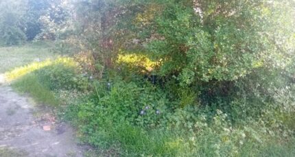 Biganos Maison neuve - 2180884-11244annonce220250605aqh1p.jpeg Maisons France Confort