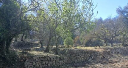 Tourrette-Levens Terrain à bâtir - 2129624-10316annonce120250410RHiW0.jpeg Maisons France Confort