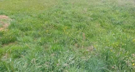 Le Teich Maison neuve - 2181069-11244annonce220250605s7HI5.jpeg Maisons France Confort