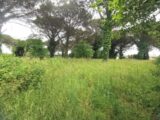 Terrain à bâtir à Roaillan (33210) 2181548-9573annonce120250605ovQtJ.jpeg Maisons France Confort