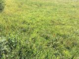 Terrain à bâtir à Replonges (01750) 2181506-754annonce220250605q1XBe.jpeg Maisons France Confort