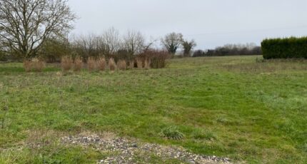 Champagne Terrain à bâtir - 2181764-11194annonce120250119T7Zzd.jpeg Maisons France Confort