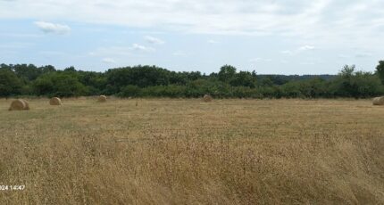 Eygurande-et-Gardedeuil Terrain à bâtir - 2181937-5020annonce120250606ccpPF.jpeg Maisons France Confort