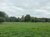 Terrain à bâtir à Ménesplet (24700) 2182090-5020annonce1202506066vJpR.jpeg Maisons France Confort