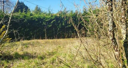 Pornic Maison neuve - 2181164-11110annonce320250605gbl1i.jpeg Maisons France Confort