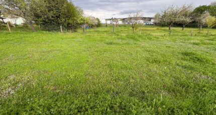 Cognac Terrain à bâtir - 2182484-11189annonce320250411xAwAh.jpeg Maisons France Confort