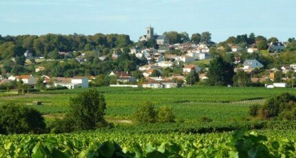 La Varenne Maison neuve - 2182840-11353annonce120250606iy2l0.jpeg Maisons France Confort