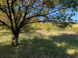 Terrain à bâtir à Pignans (83790) 2117932-5622annonce3202503266hw6K.jpeg Maisons France Confort