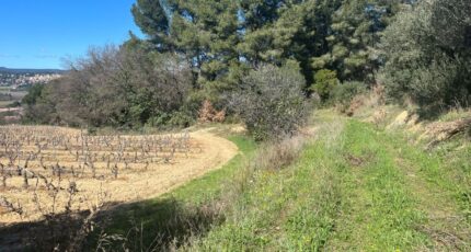 Le Castellet Terrain à bâtir - 2118222-5622annonce120250326XUguE.jpeg Maisons France Confort