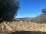 Terrain à bâtir à Le Castellet (83330) 2118222-5622annonce220250326A9GIu.jpeg Maisons France Confort