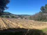 Terrain à bâtir à Le Castellet (83330) 2118222-5622annonce320250326c5hml.jpeg Maisons France Confort