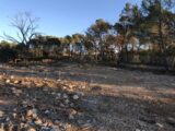 Terrain à bâtir à Rocbaron (83136) 2118146-5622annonce2202503268k30c.jpeg Maisons France Confort