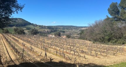 Le Castellet Terrain à bâtir - 2118211-5622annonce120250326uKXqP.jpeg Maisons France Confort