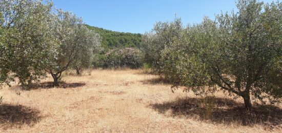 Terrain à bâtir à , Var