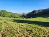 Maison à construire à Puybegon (81390) 2177949-11178annonce120250603WFKck.jpeg Maisons France Confort
