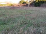 Terrain à bâtir à Montauban (82000) 2182678-5604annonce320250606h5FAQ.jpeg Maisons France Confort