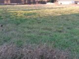 Terrain à bâtir à Montauban (82000) 2182678-5604annonce420250606DHPTT.jpeg Maisons France Confort