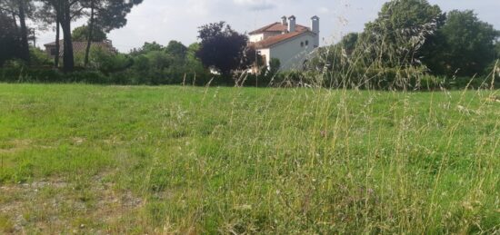 Terrain à bâtir à Saint-Sauveur, Occitanie