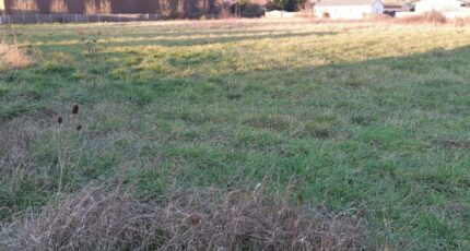 Montauban Maison neuve - 2182806-5604annonce420250606DHPTT.jpeg Maisons France Confort
