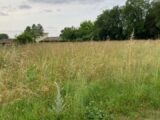 Terrain à bâtir à Saint-Seurin-sur-l’Isle (33660) 2179307-11367annonce120250604PM0n5.jpeg Maisons France Confort