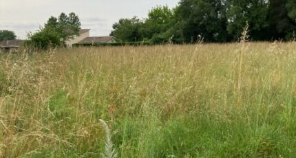Saint-Seurin-sur-l'Isle Maison neuve - 2179330-11367annonce120250604PM0n5.jpeg Maisons France Confort