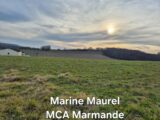 Terrain à bâtir à Tombeboeuf (47380) 2183550-11161annonce220250512TI05f.jpeg Maisons France Confort