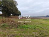 Terrain à bâtir à Agen (47000) 2183603-11091annonce120250425uOBlH.jpeg Maisons France Confort