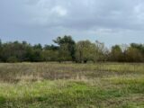 Terrain à bâtir à Bourg (33710) 2183323-11254annonce120250606bNwVb.jpeg Maisons France Confort