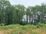 Terrain à bâtir à Ménesplet (24700) 2183951-5020annonce120250606yt2o0.jpeg Maisons France Confort