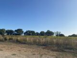 Terrain à bâtir à Vérargues (34400) 2184071-3243annonce1202506075fa5w.jpeg Maisons France Confort