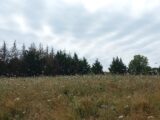 Terrain à bâtir à Eygurande-et-Gardedeuil (24700) 2184139-5020annonce1202506073cgW2.jpeg Maisons France Confort