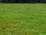 Maison à construire à Pignans (83790) 2184371-4866annonce120250608rfFv2.jpeg Maisons France Confort