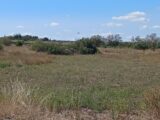 Terrain à bâtir à Vérargues (34400) 2184469-11040annonce120250608PTAzp.jpeg Maisons France Confort