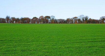 Bédoin Terrain à bâtir - 2099940-616annonce120250308Wi7wk.jpeg Maisons France Confort