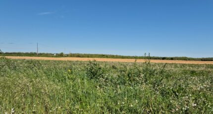 Ballon Terrain à bâtir - 2184640-6087annonce120250609RoPsS.jpeg Maisons France Confort