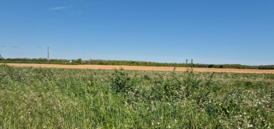 Terrain à bâtir à Ballon, Nouvelle-Aquitaine