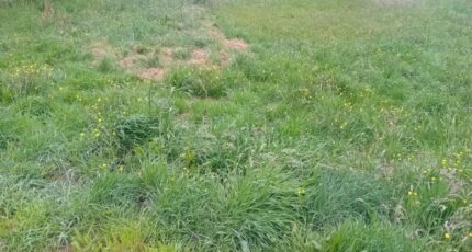 Lanton Maison neuve - 2184885-11244annonce220250609orN0p.jpeg Maisons France Confort