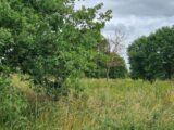 Terrain à bâtir à Saubens (31600) 2183879-10326annonce120250606nk9L6.jpeg Maisons France Confort