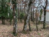 Terrain à bâtir à Ronel (81120) 2185029-2684annonce220250609qPFmG.jpeg Maisons France Confort