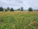 Maison à construire à Lavaur (81500) 2184691-11178annonce120250609B5ydt.jpeg Maisons France Confort