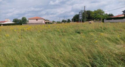 Montbeton Terrain à bâtir - 2184893-5604annonce320250609RQcha.jpeg Maisons France Confort