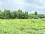 Terrain à bâtir à Villematier (31340) 2183547-11356annonce220250606VoDH8.jpeg Maisons France Confort