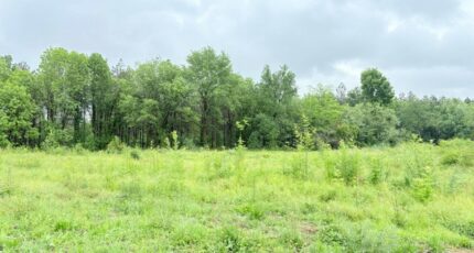Villematier Terrain à bâtir - 2183547-11356annonce220250606VoDH8.jpeg Maisons France Confort