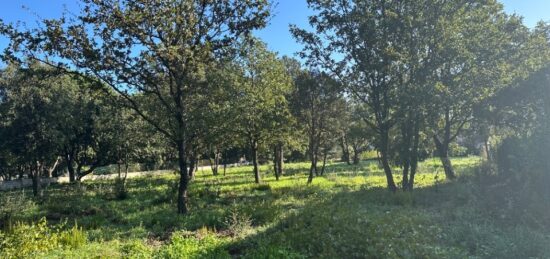 Terrain à bâtir à , Var