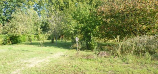 Terrain à bâtir à Vernou-sur-Brenne, Centre-Val de Loire