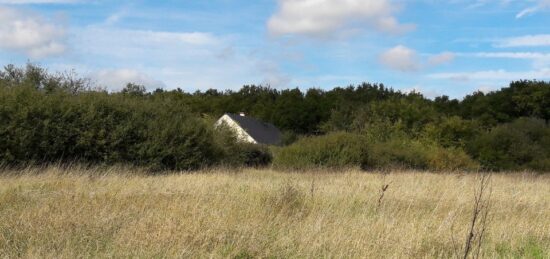 Terrain à bâtir à Neuillé-Pont-Pierre, Centre-Val de Loire