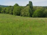 Terrain à bâtir à Proissans (24200) 2184774-11294annonce120250609k87fD.jpeg Maisons France Confort