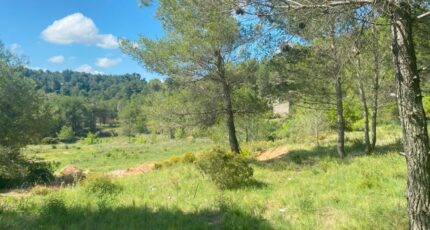Bize-Minervois Terrain à bâtir - 2186463-692annonce320250610EDT7e.jpeg Maisons France Confort